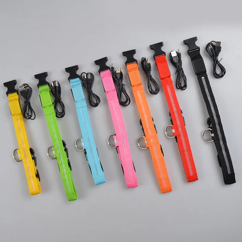 LED Dog Collar — Rechargeable Night Safety Light