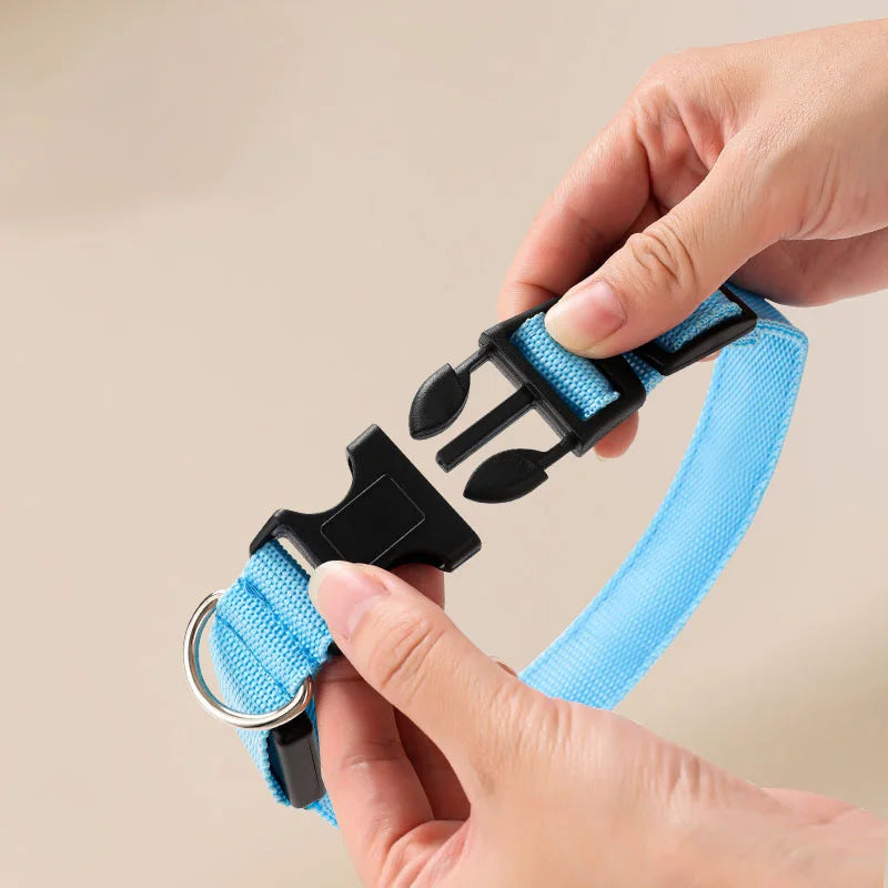 LED Dog Collar — Rechargeable Night Safety Light