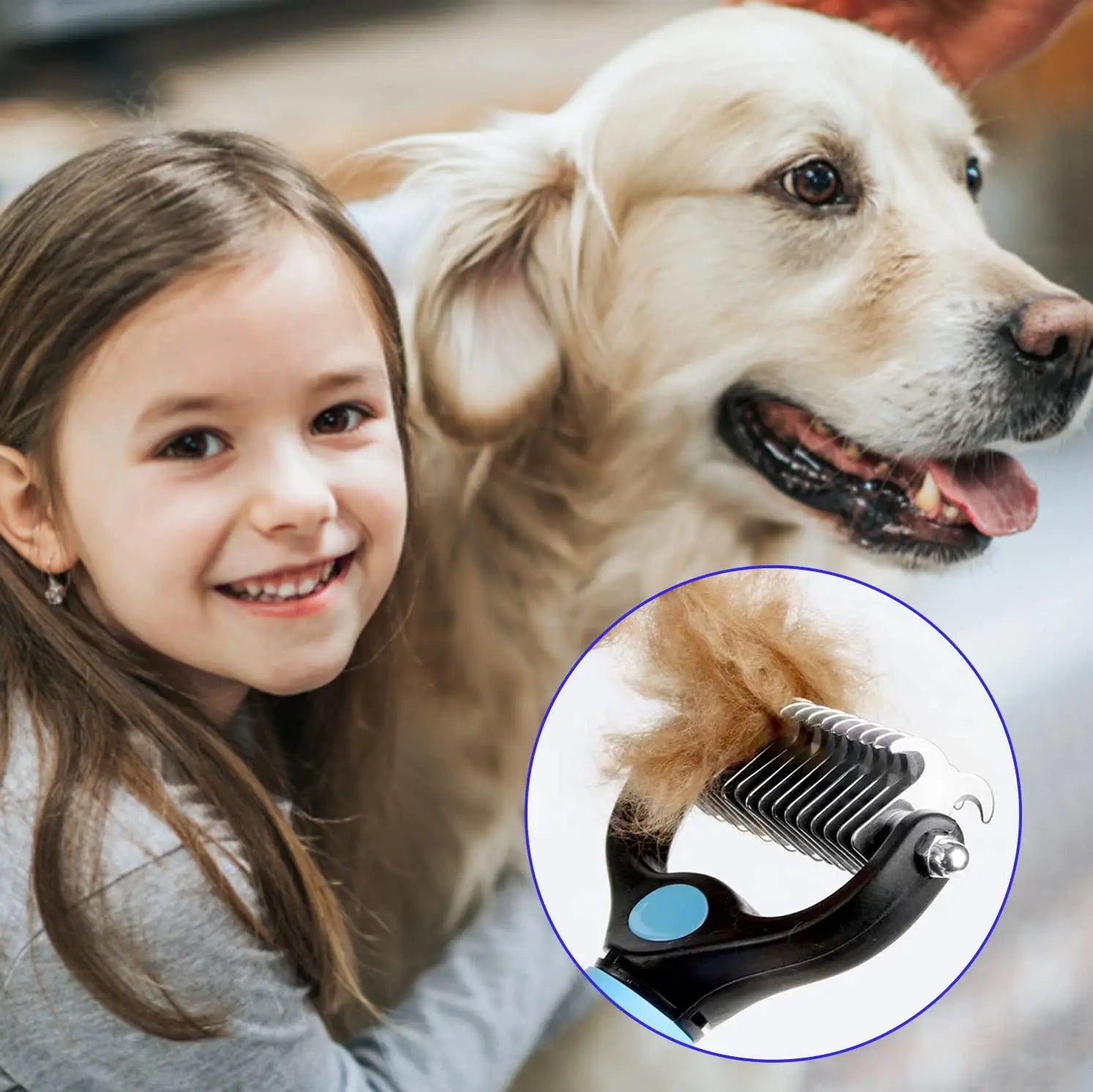 Stainless Steel Dog Bowl & Accessory Set