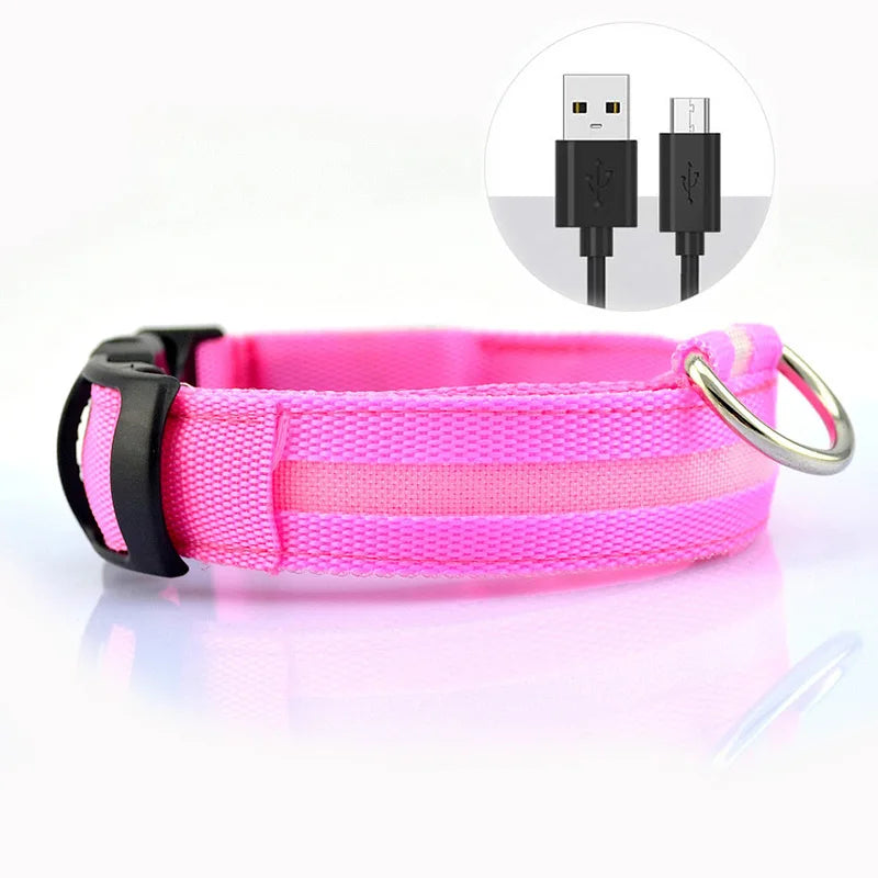 LED Dog Collar — Rechargeable Night Safety Light