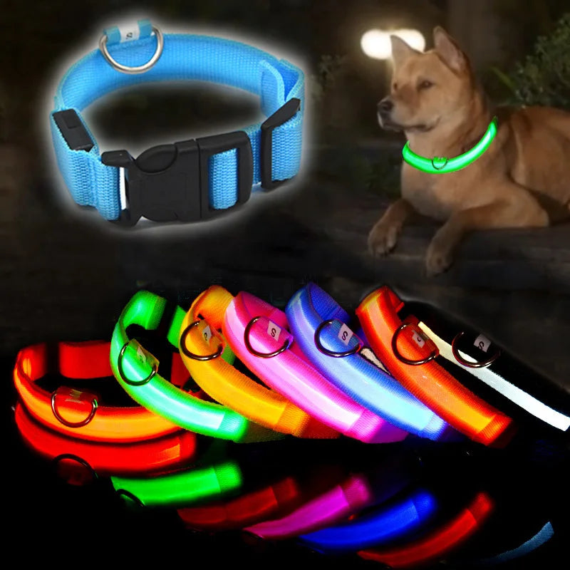 LED Dog Collar — Rechargeable Night Safety Light