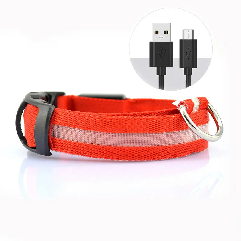 LED Dog Collar — Rechargeable Night Safety Light