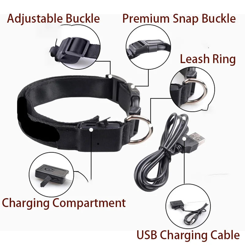 LED Dog Collar — Rechargeable Night Safety Light