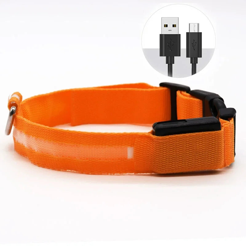 LED Dog Collar — Rechargeable Night Safety Light
