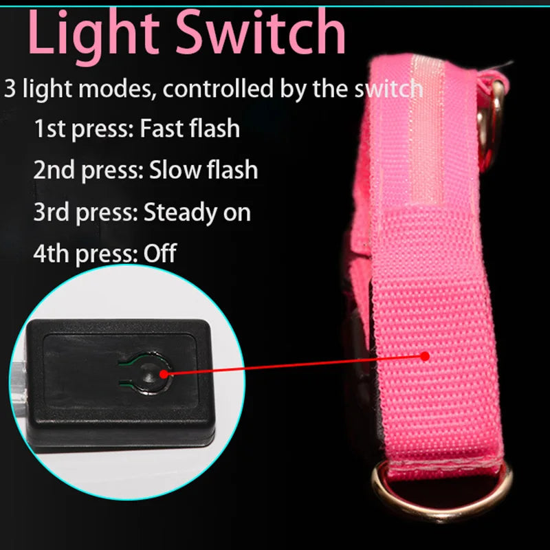 LED Dog Collar — Rechargeable Night Safety Light