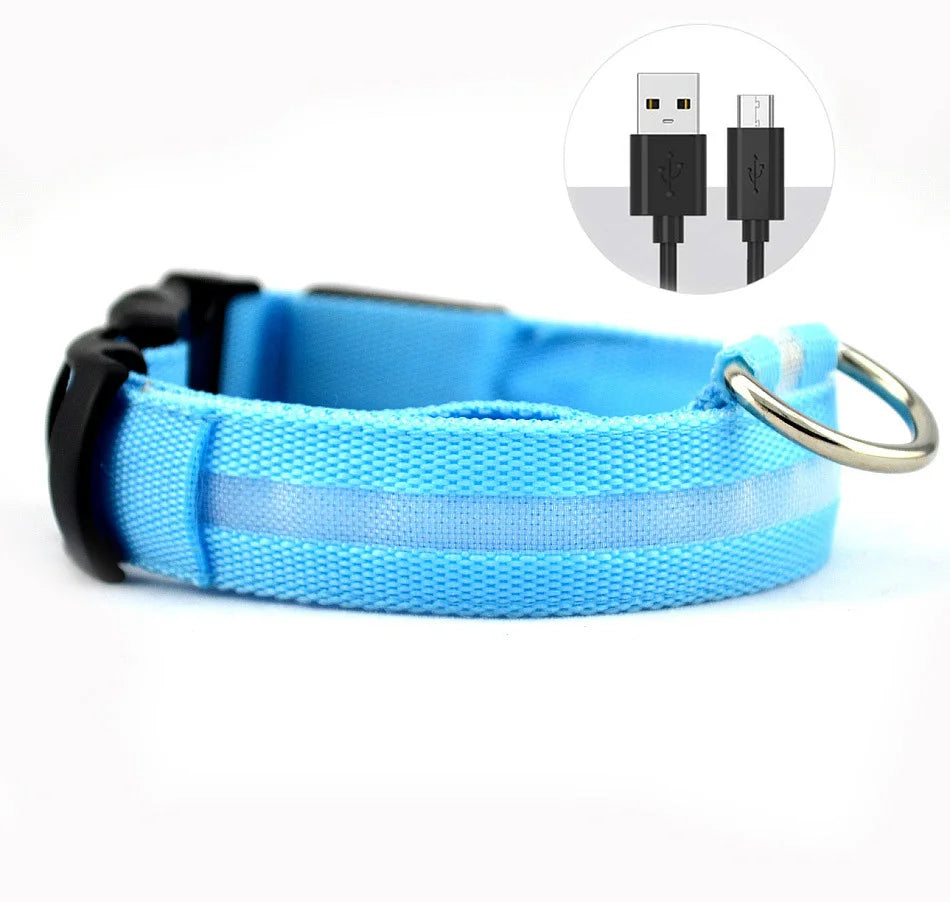 LED Dog Collar — Rechargeable Night Safety Light