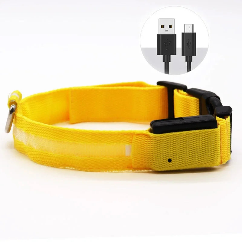 LED Dog Collar — Rechargeable Night Safety Light