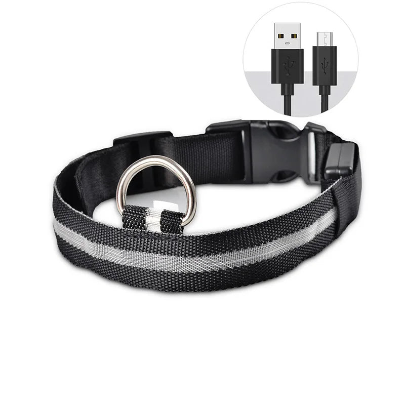 LED Dog Collar — Rechargeable Night Safety Light